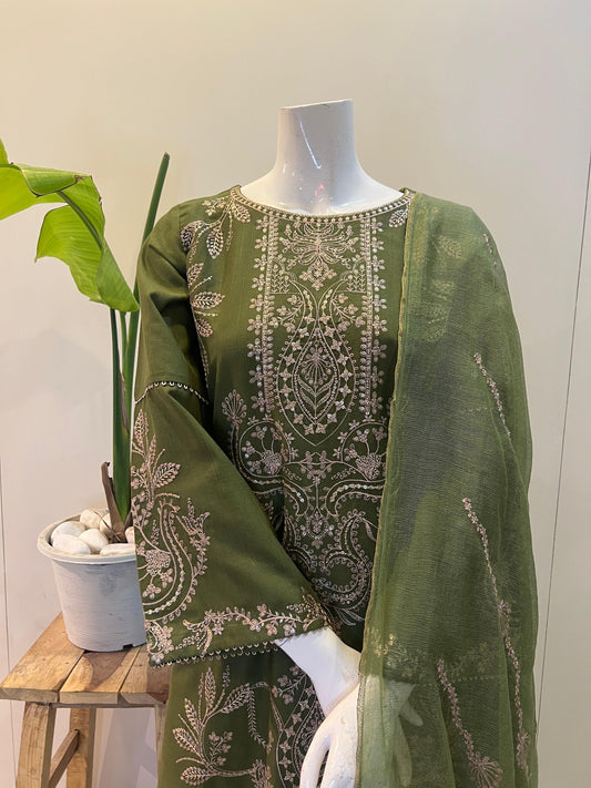 Volna/olive